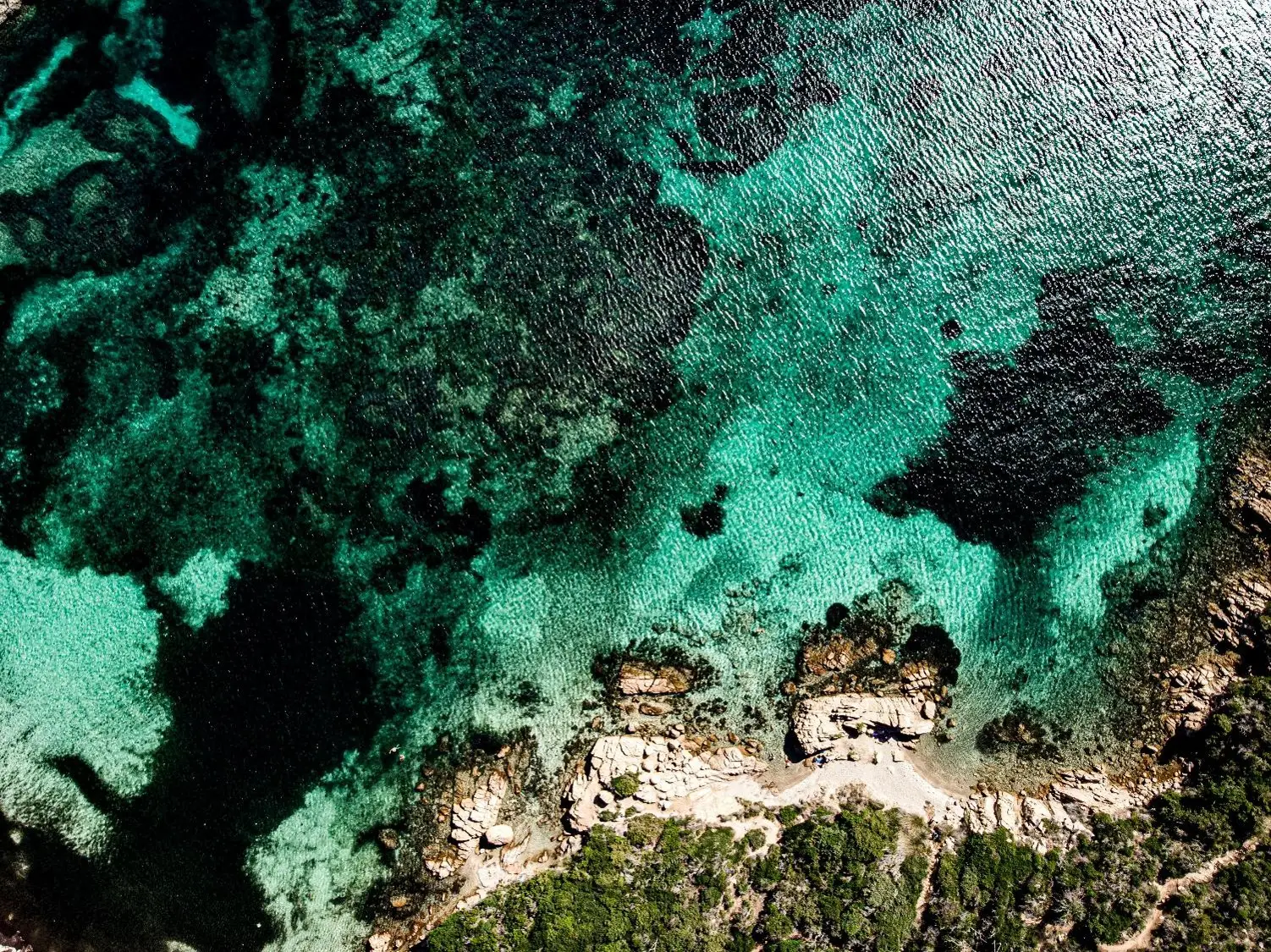 ALPHA: r2 in the UK signs up to ethical data provider IdealRatings