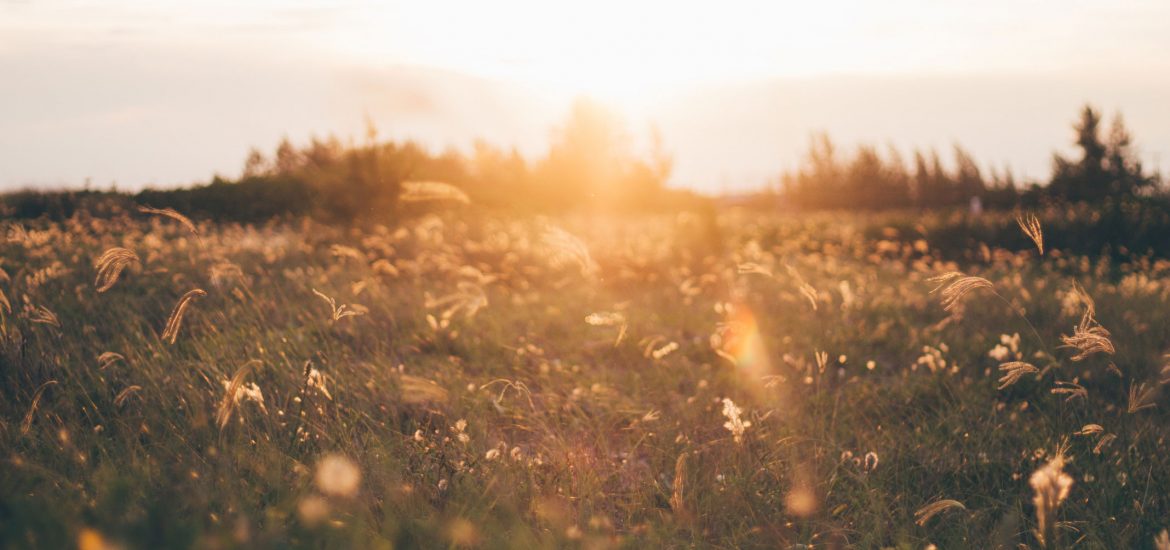 COVID-19 & ESG: Blessing for the E, Eye Opener for the S & Heavy Duties for the G