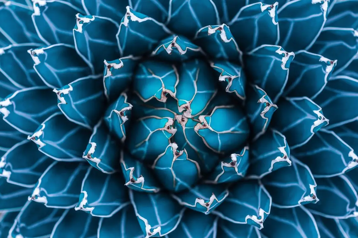 IdealRatings Joined BBH Connectors Program as the ESG Vendor