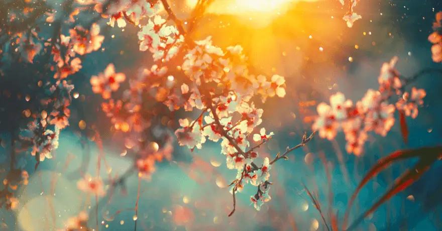 Alerian S-Network Expands ESG Presence and Partnership with IdealRatings and Sanctuary Wealth