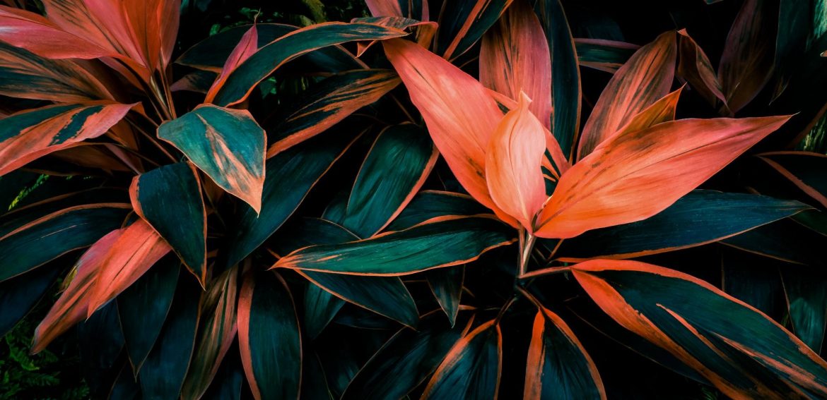 Investics to Provide IdealRatings ESG Data