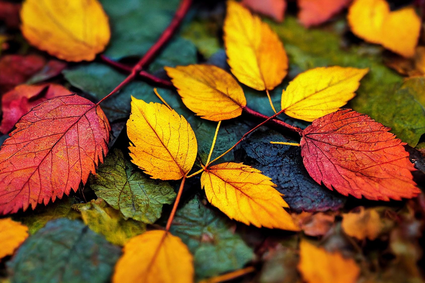 We limited printing papers